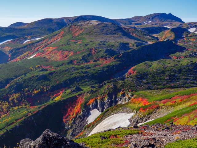 黒岳の紅葉