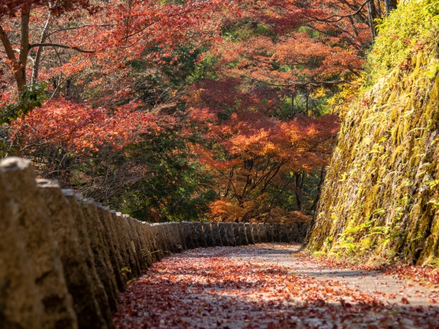 奈良・吉野山の紅葉