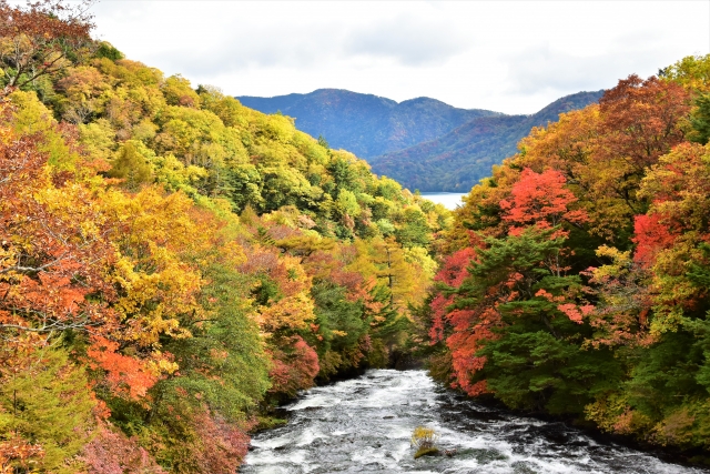 日本三大紅葉名所のひとつである日光の紅葉