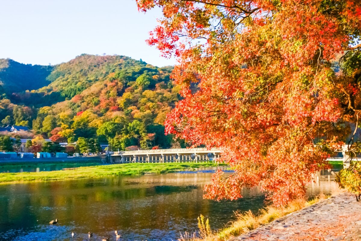 京都・嵐山の紅葉