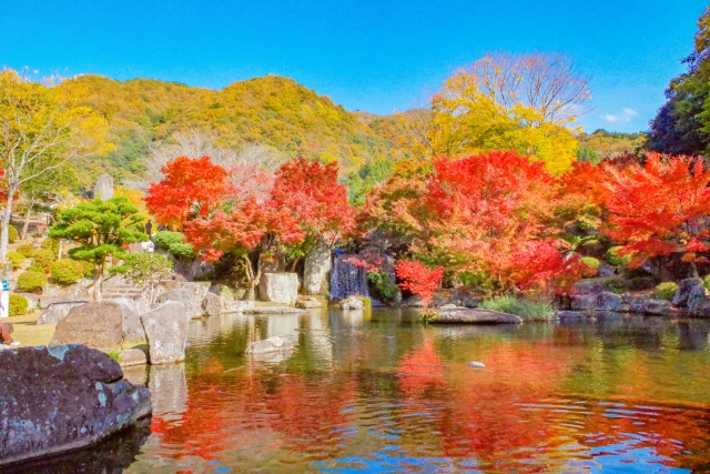 日本三大紅葉名所のひとつである耶馬渓の紅葉
