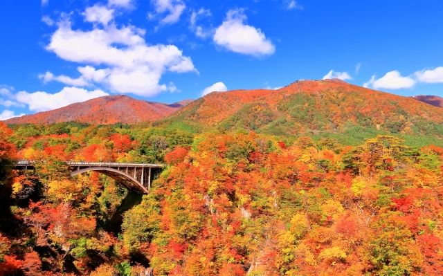 鳴子峡の紅葉