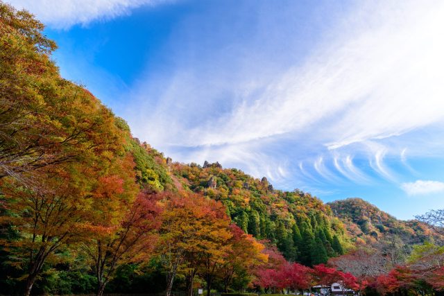 日本三大紅葉名所のひとつである耶馬渓の紅葉