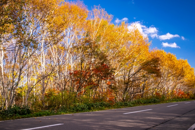 八幡平アスピーテラインの紅葉
