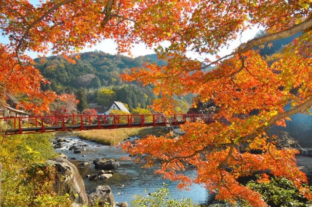 香嵐渓の紅葉