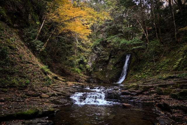 赤目四十八滝の紅葉