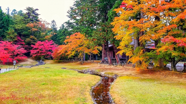 岩手県の紅葉