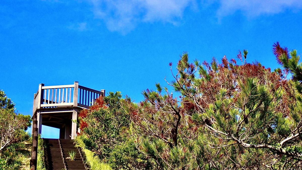 慶良間諸島渡嘉敷島の港の見える丘展望台