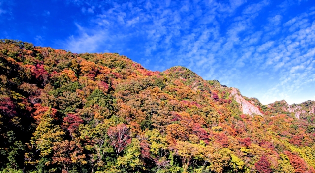 立久恵峡の紅葉