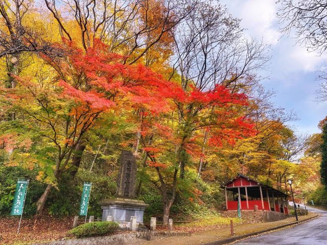 北上展勝地の紅葉