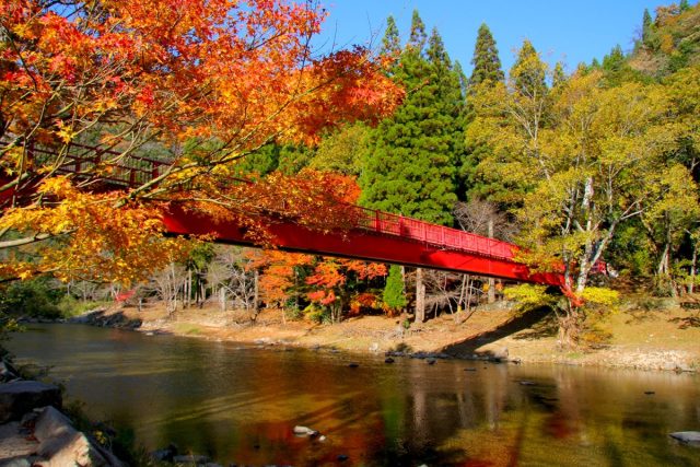 宇甘渓の紅葉
