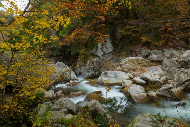小鹿渓の紅葉