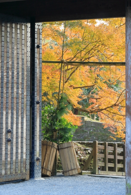 飫肥城跡の紅葉