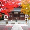 漢陽寺の紅葉