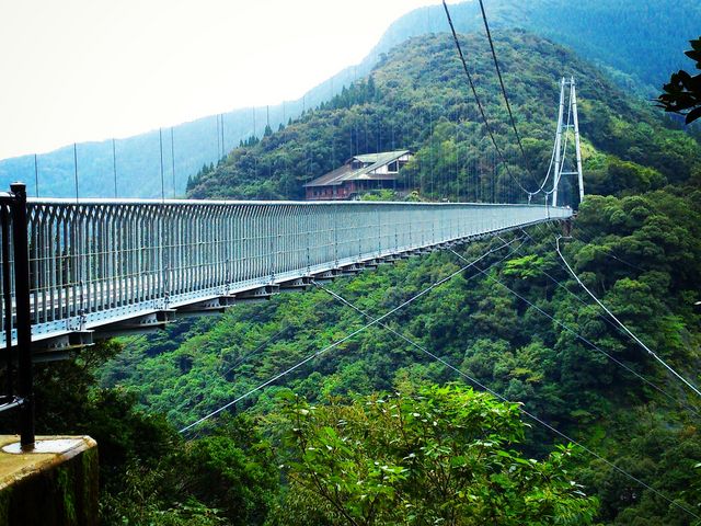 綾の照葉大吊橋