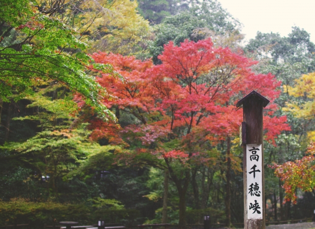 高千穂峡の紅葉