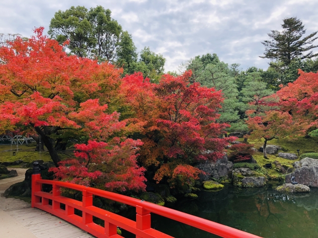 由志園の紅葉