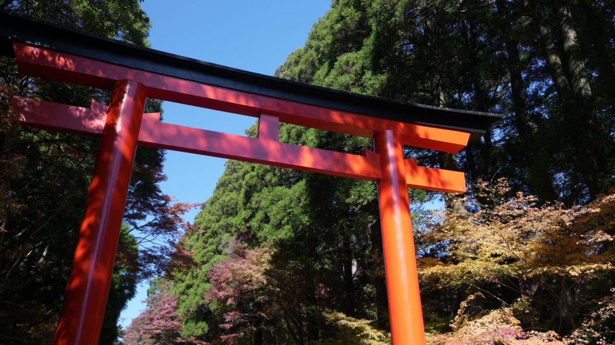 霧島神宮の紅葉