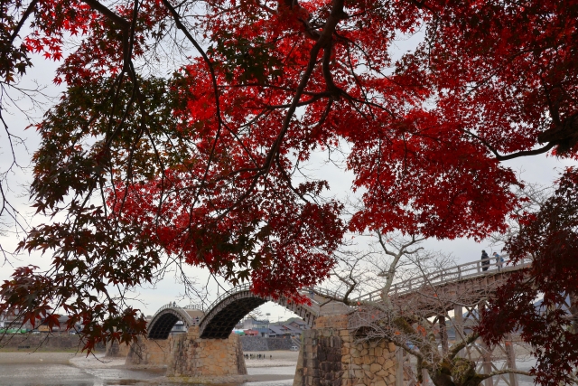 錦帯橋の紅葉
