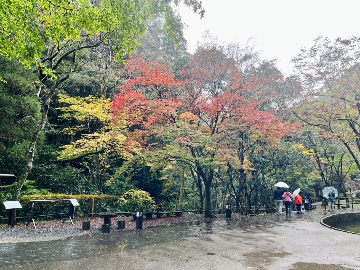 高千穂峡の紅葉