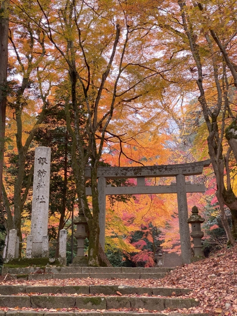 諏訪神社の紅葉