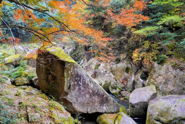 鬼の舌震の紅葉