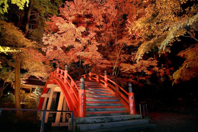 今高野山 龍華寺の紅葉