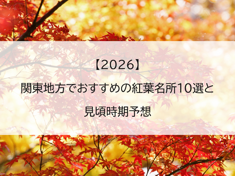 【2026】関東地方でおすすめの紅葉名所10選と見頃時期予想