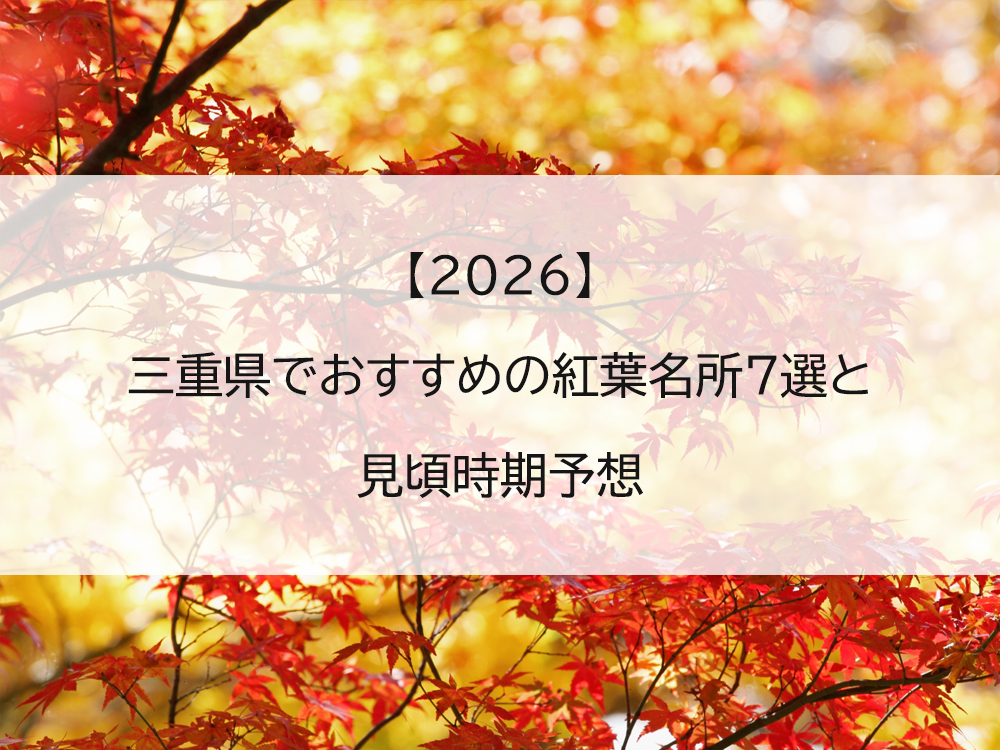 【2026】三重県でおすすめの紅葉名所7選と見頃時期予想