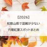 【2026】和歌山県で混雑が少ない穴場紅葉スポットまとめ