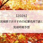 【2026】宮城県でおすすめの紅葉名所7選と見頃時期予想