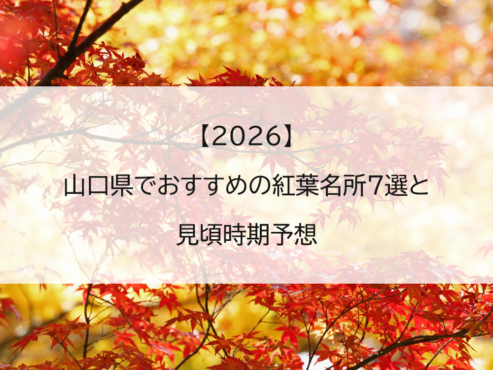 【2026】山口県でおすすめの紅葉名所7選と見頃時期予想