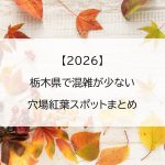 【2026】栃木県で混雑が少ない穴場紅葉スポットまとめ