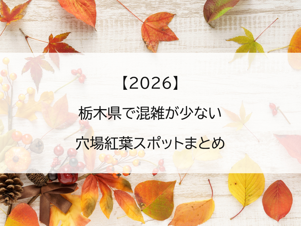 【2026】栃木県で混雑が少ない穴場紅葉スポットまとめ