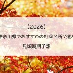 【2026】神奈川県でおすすめの紅葉名所7選と見頃時期予想